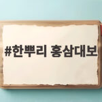 한뿌리 홍삼대보 하루 한포로 건강 관리 한뿌리 홍삼대보