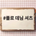 폴로 데님 셔츠