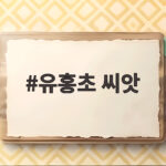 유홍초 씨앗