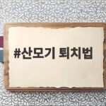 산모기 퇴치법