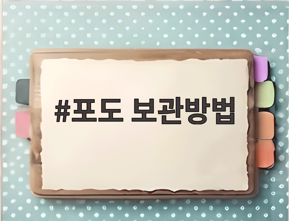 포도 보관방법