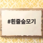 흰줄숲모기 낮에도 물리지 않는 예방법 흰줄숲모기