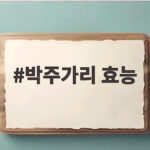 박주가리 효능과 안전한 섭취 방법 박주가리 효능