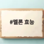 멜론 효능 5가지와 영양성분 총정리 멜론 효능