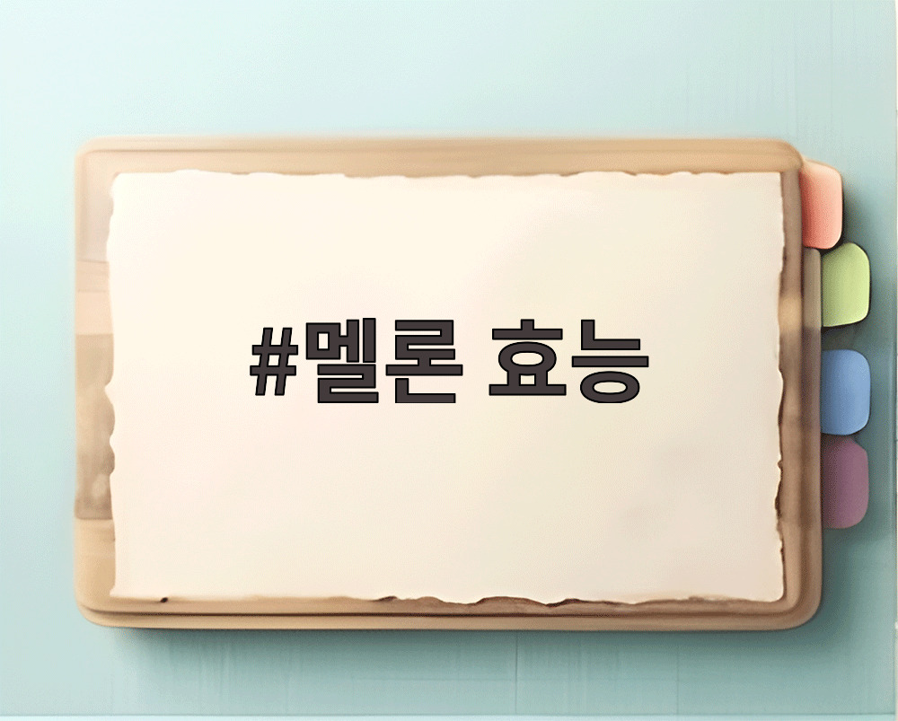 멜론 효능
