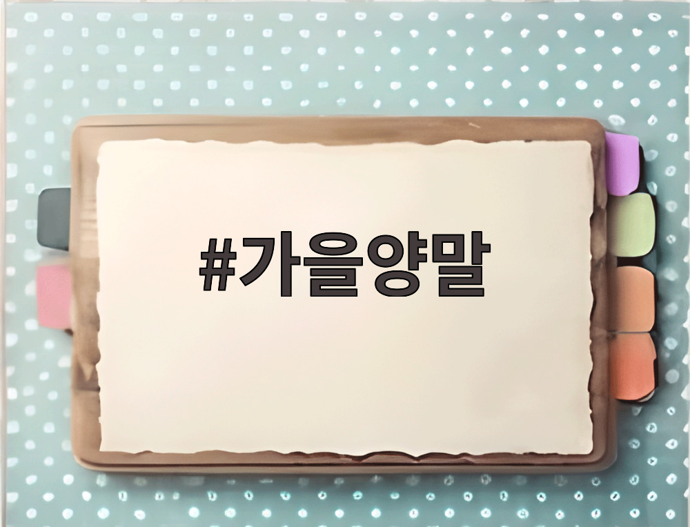 가을양말