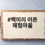 백미리 어촌체험마을 갯벌체험 총정리 백미리 어촌 체험마을
