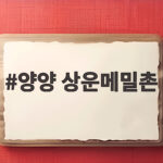 양양 상운메밀촌 메밀향 가득한 막국수 맛집 양양 상운메밀촌