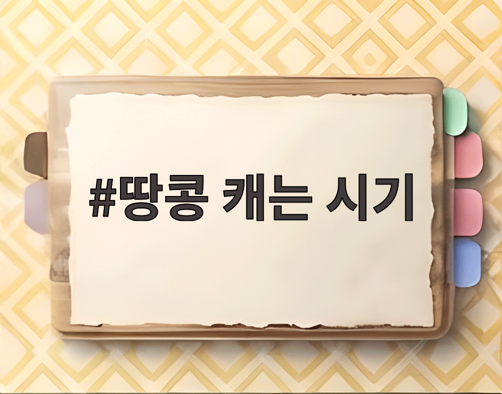 땅콩 캐는 시기