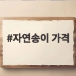 자연송이 가격 시세와 구매 팁 자연송이 가격