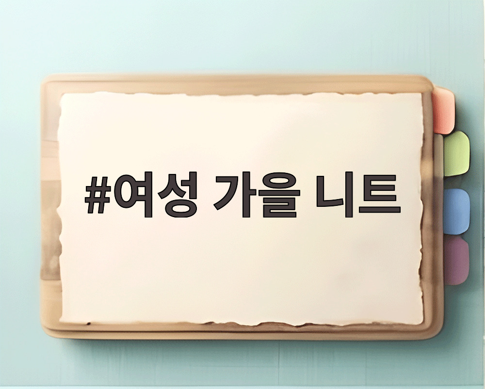 여성 가을 니트