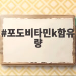 반려견 포도 급여 시 주의할 비타민K 함량 포도비타민k함유량