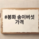 봉화 송이버섯 가격 10월 시세 전망과 구매 팁 봉화 송이버섯 가격