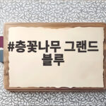 층꽃나무 그랜드 블루 키우기 총정리 층꽃나무 그랜드 블루