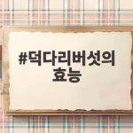 덕다리버섯 효능과 복용법 총정리 덕다리버섯의 효능