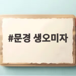 2026 문경 생오미자 축제 일정과 가격 정보 문경 생오미자
