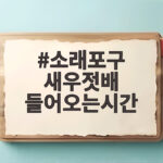 소래포구 배 들어오는 시간과 새우젓 소래포구 새우젓배 들어오는시간