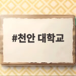 천안 대학교