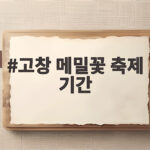 고창 메밀꽃 축제 기간 완벽 정리 고창 메밀꽃 축제 기간