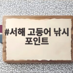 서해 고등어 낚시 포인트와 채비 준비 서해 고등어 낚시 포인트