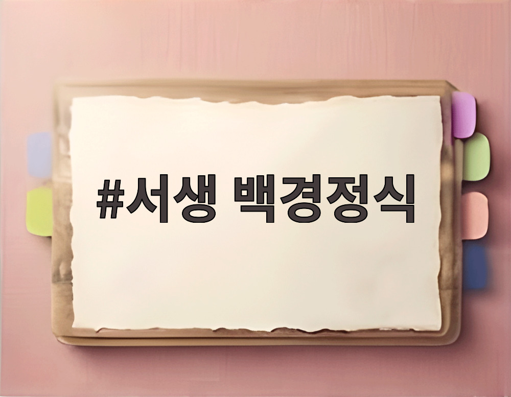 서생 백경정식