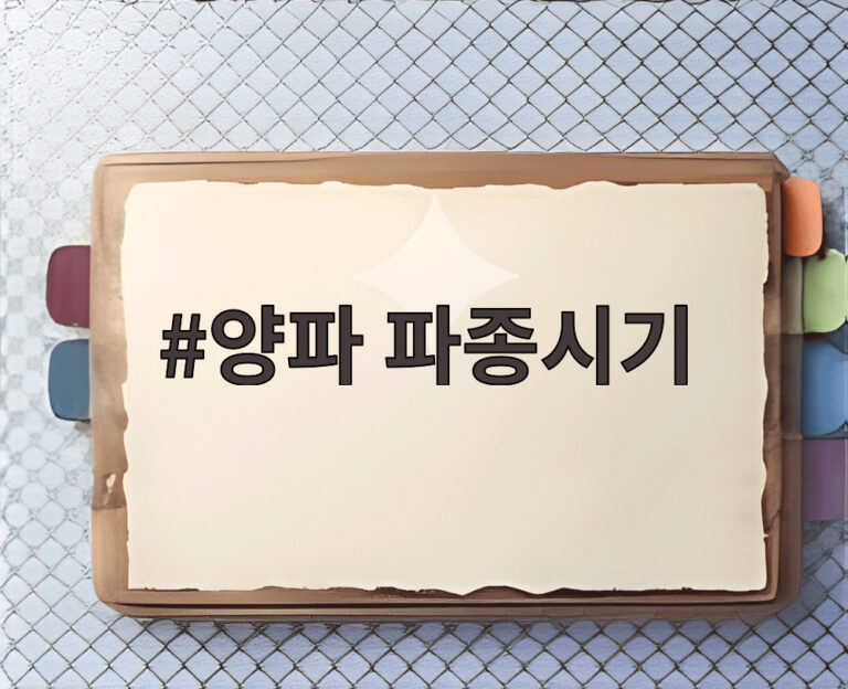 양파 파종시기
