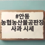 안동 농협농산물공판장 사과 시세