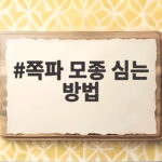 쪽파 모종 심는 방법 8월 하순 파종 적기 수확 쪽파 모종 심는 방법