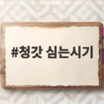 청갓 심는시기 파종 방법 완전 정리 청갓 심는시기