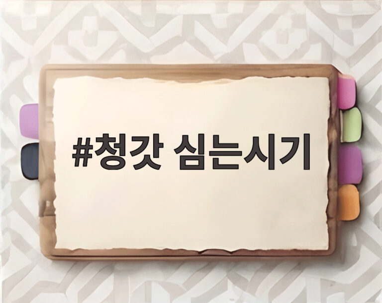 청갓 심는시기