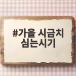 가을 시금치 파종시기와 텃밭 수확 팁 가을 시금치 심는시기