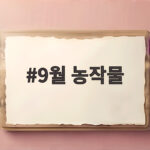 9월 농작물 심는 시기와 가을 텃밭 관리법 9월 농작물