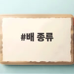 배 종류별 특징과 맛있는 배 고르는 방법 배 종류