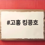 고흥 킹콩호