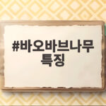 바오밥나무 특징과 생태 알아보기 바오바브나무 특징