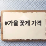 가을 꽃게 가격 시세와 고르는 법 총정리 가을 꽃게 가격