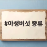 야생버섯 종류 독버섯 구별법 안전하게 즐기기 야생버섯 종류