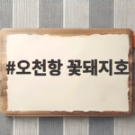 오천항 꽃돼지호 봄 쭈꾸미 출조 후기 오천항 꽃돼지호