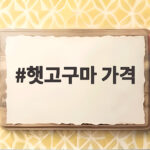 올해 햇고구마 가격과 고르는 법 완벽 정리 햇고구마 가격