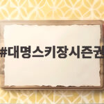 대명스키장시즌권 구매와 발급 준비 대명스키장시즌권