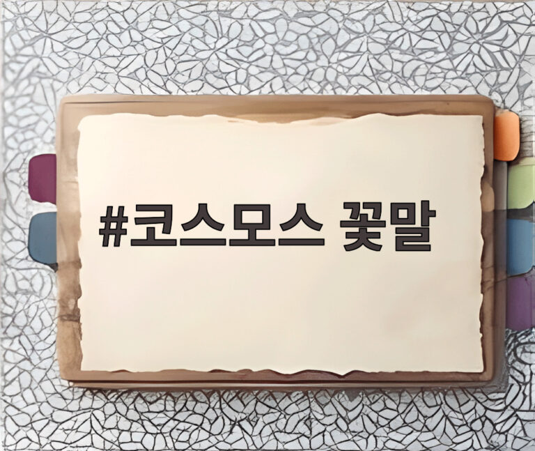 코스모스 꽃말