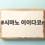 시마노 이이다코 R 155 솔직 후기 시마노 이이다코r