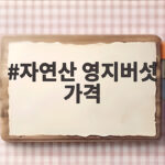 자연산 영지버섯 가격 시세와 구별법 자연산 영지버섯 가격