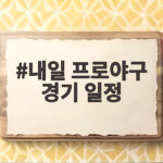 9월 1일 프로야구 경기 일정 총정리 내일 프로야구 경기 일정