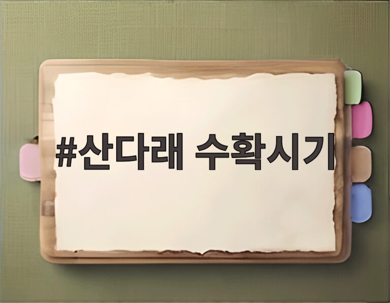 산다래 수확시기