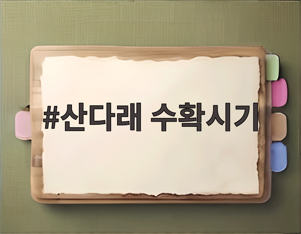 산다래 수확시기