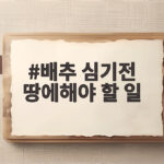 배추 심기전 땅에해야 할 일