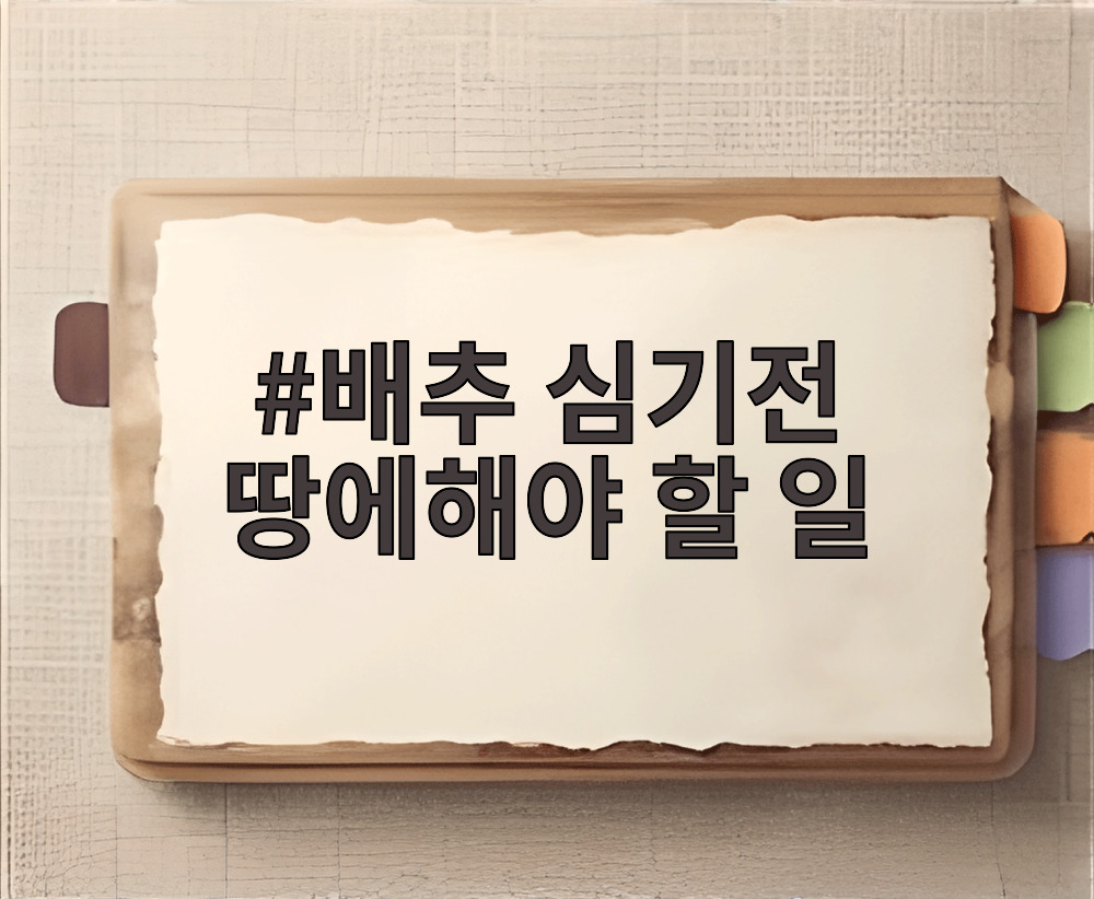 배추 심기전 땅에해야 할 일