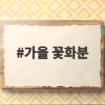 가을 꽃화분
