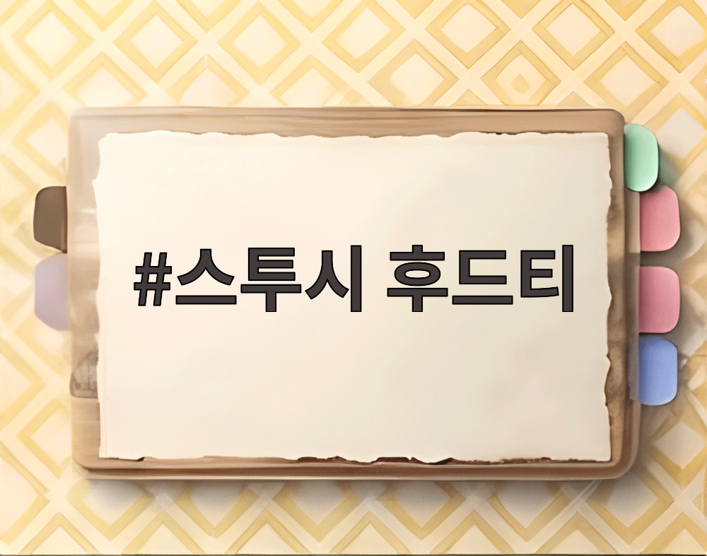 스투시 후드티